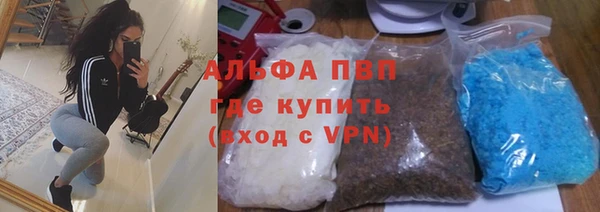 шишки Новокубанск