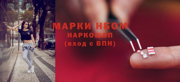 шишки Новокубанск