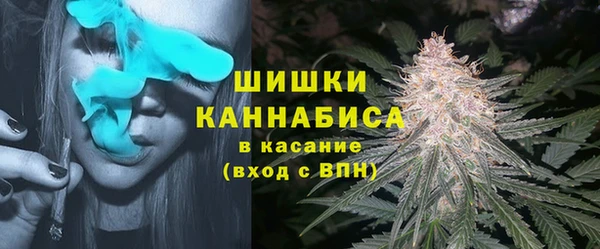 прущие крисы Новозыбков
