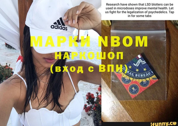 прущие крисы Новозыбков